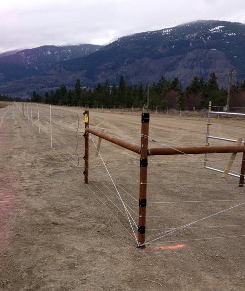score-construction-electric-bear-fence-681
