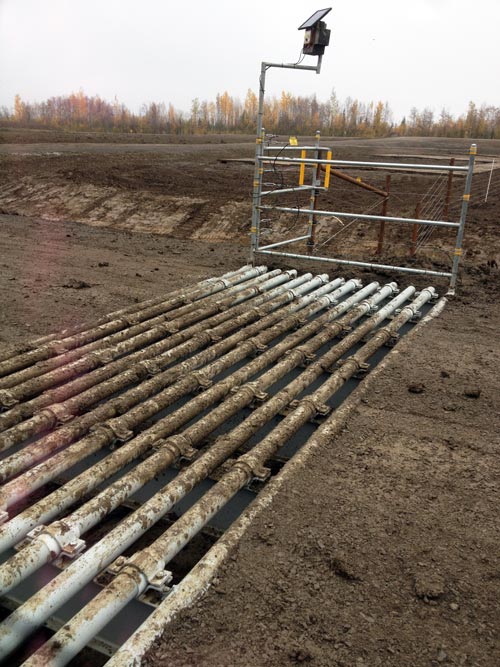 Score-Construction-Electric-Bear-Fence-1008